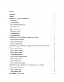 Contaminacion Ambiental. DINAMICA DE LOS CONTAMINANTES