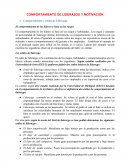 COMPORTAMIENTO DE LIDERAZGO Y MOTIVACIÓN