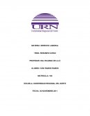 DERECHO LABORAL (TRABAJO FINAL)