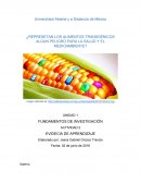 ¿Represetan los alimentos trasngenicos un peligro para el consumo humano?