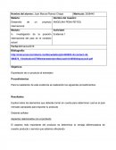 Evidencia 1 desarrollo de un proyecto internacional