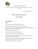 Plan de trabajo. TACOS EL PATA EXPRESS (PLAZA MAYOR)