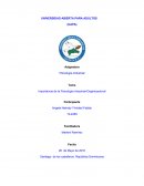 Importancia de la Psicología Industrial-Organizacional