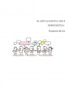 Organización de la información recopilada y su análisis