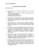 La arquitectura del cerebro