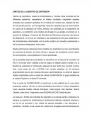 LIMITES DE LA LIBERTAD DE EXPRESION