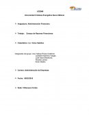 Trabajo: Ensayo de Razones Financieras.