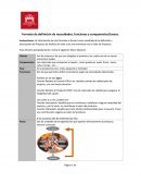 Formato de necesidades