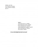 Ivan Pavlov Reflejos condicionados