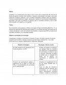 BSC Balanced scorecard.