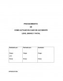 Procedimiento en caso de accidentes.