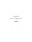 RISES, RILES Y EMISIONES GASEOSAS