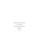 Control 3 calidad y medioambiente iacc