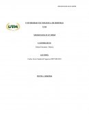 Administración de la Calidad Resumen de videos del primer parcial