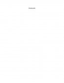 Ensayo sistemas sociales del hombre.