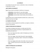 Los animales. ¿QUÉ COMEN LOS ANIMALES?