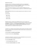 Modificadores del sujeto