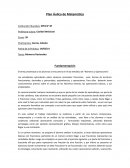 Números Racionales . Números y Operaciones.