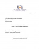 ENSAYO. “ECOTURISMO EN MÉXICO”.