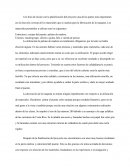 Estructura y cuerpo del puente: paletas de madera.