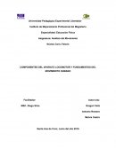 COMPONENTES DEL APARATO LOCOMOTOR Y FUNDAMENTOS DEL MOVIMIENTO HUMANO