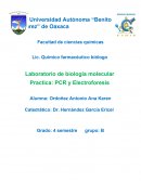 Electroforesis y PCR.