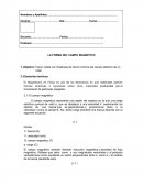LA FORMA DEL CAMPO MAGNÉTICO