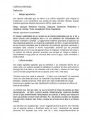 Cultivos y tecnicas; conceptos.