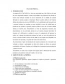La empresa ITALTACONES S.A,