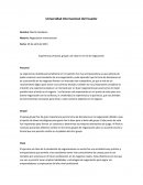 Estructura del proceso de investigación.