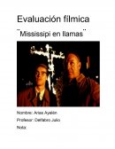 Resumen de la pelicula mississipi en llamas.