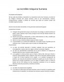 La increíble máquina humana. El propósito del programa