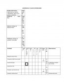 DIAGRAMA DE FLUJO DE OPERACIONES.