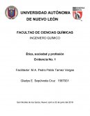 Ensayo de Ética, sociedad y profesión.