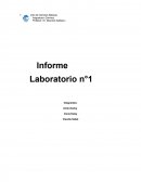 Acido-base. Informe Laboratorio n°1