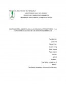 CONTAMINACIÓN AMBIENTAL EN LA U.E.COLEGIO LA PRESENTACIÓN Y LA FALTA DE RECOLECCIÓN DE LOS DESECHOS DOMÉSTICOS