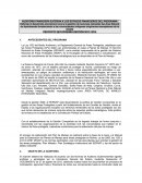 AUDITORÍA FINANCIERA EXTERNA A LOS ESTADOS FINANCIEROS DEL PROGRAMA