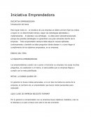 LA INICIATIVA EMPRENDEDORA.
