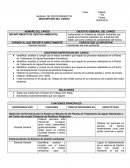 Formato descripcion de cargo.