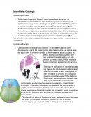 Tipeo generalidades osteologia.