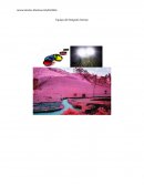 Equipo del fotógrafo forense.