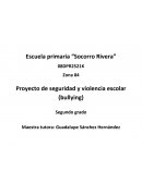 Proyecto de seguridad y violencia escolar (bullying)