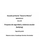 Proyecto de seguridad y violencia escolar (bullying)