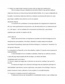 Teorias sobre las etapas de la adolescencia