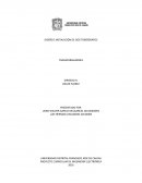 DISEÑO E INSTALACIÓN DE DOS TOMÓGRAFOS