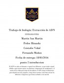 Trabajo de biología: Extracción de ADN