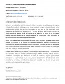 Proyecto pedagogico Historia