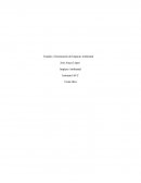 Estudio y Declaración de Impacto Ambiental.