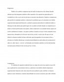 Ensayo de Administracion de recursos humanos.