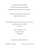 Ensayo de la novela gotica: la mansion de la araucaima